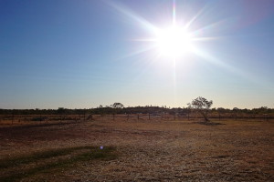 Cattle Station