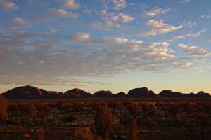 Olgas